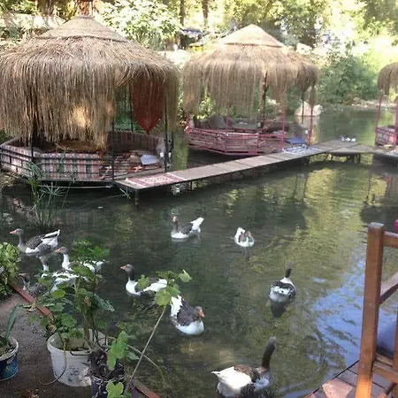 Hotel Lykia Edrassa