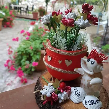 Hotel Lykia Edrassa